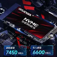 在飛比找Yahoo!奇摩拍賣優惠-固德佳GXF PRO M.2 NVMe 2242 PCIe4