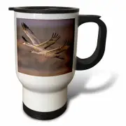 3dRose Sandhill Crane bird, Bosque del Apache New Mexico - US32 RNU0005 - Rolf N