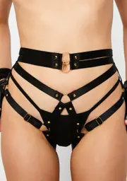Hard And Rough Harness Panty