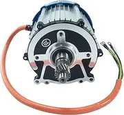 500W-1800W Electric Tricycle Differential Motor 48V / 60V / 72V Brushless DC Motor with Permanent Magnet, 5 Holes 16 Teeth Motor for DIY Electric Tricycle, Golf Cart, Go-Kart