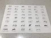 AFL ST KILDA SAINTS TEAM SIGNED POSTER PRINT- FOOTBALL TIGERS CROWS DEMONS DOGS