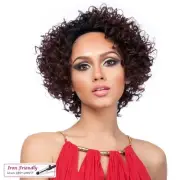 It's a Wig Synthetic Lace Front Wig SWISS LACE DAVOS