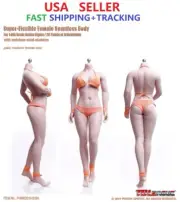 BUXOM Type TBLeague S28A 1/6 Seamless Female Body PALE M Bust USA IN STOCK
