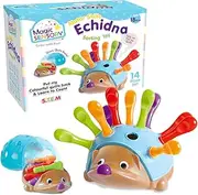 Magic Sensory Echidna Hedgehog Toy – Montessori STEM Fine Motor Skills & Counting Baby Toy – Interactive Educational Colour Sorting Sensory Toys for Toddlers 1-3 – 14 Piece Set