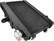 Radiator Grille Fit For Honda Rebel CM300 CMX300 CM CMX 300 2020 2021 2022 2023 Motorcycle Engine Radiator Cooling Cooler Engine Radiator