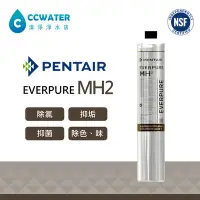 在飛比找Yahoo!奇摩拍賣優惠-【清淨淨水店】EVERPURE MH2濾心(MH升級版)平行