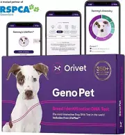 Genopet Dog DNA Test Dog Breed Test Kit Genetic Testing Heritable Health Risks