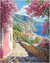 Mediterranean Landscape Paint by Numbers Kit for Adults - DIY Coastal Village Trail and Flowers Painting on Canvas 16x20 Inches, Acrylic Paint Set, Suitable for Beginners, Art for Decoration
