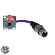 MCSPROAUDIO 2ft Pigtail: 1/4 TRS Panel Mount to XLR Female Plug (Purple)