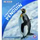 A Day in the Life of a Penguin: A 4D Book