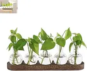 XUTONG Propagation Stations,Plant Desktop Propagation Terrarium with Wooden Stand,Glass Vase Plant Holder for Hydroponics Water Plants Cutting with 5 Bud Bottle for Home Garden Office Decor