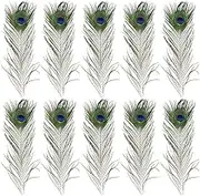 5-10PCS Natural Peacock Tail Eyes Feathers 26-30cm DIY Craft Vase Decor