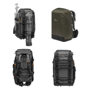 Lowepro預購 Pro Trekker BP 550 AW II (L242) 專業旅行家 後背包 相機專家 公司貨