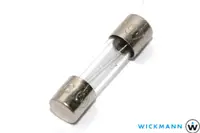 在飛比找蝦皮購物優惠-德國WICKMANN-WERKE 1.6A  250V (F