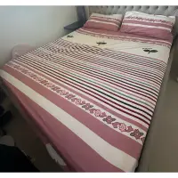 在飛比找蝦皮購物優惠-二手床罩組 床罩 床裙 台灣製 鋪棉床包  雙人 三件組 被