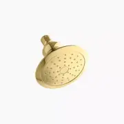 KOHLER Revival 2.0 GPM showerhead - K-45411-PB in Vibrant Polished Brass