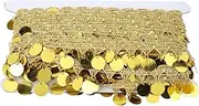 [MUNEFE] Belly Dance Tassel Belt, Gold Fringe Skirt, Sequin Tassel Skirt for Adding an Extra Layer of Charm to Your Movements (116,00)