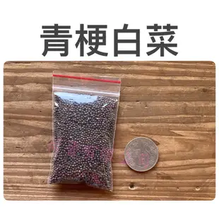 青梗白菜(青江菜)種子15公克(約7500粒) 湯匙菜 青江白菜 清江菜種子