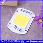 50W LEDs Floodlight Lighting COB Chips 220V Input Integrated Smart IC Driver AU