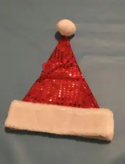 MERRY BRITE RED SEQUIN SANTA HAT 24"