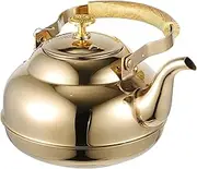 Vaguelly Stainless Steel Teapot with Strainer Capacity Kitchen Kettle for Home and Tearoom Use Comfortable Handle for Serving Tea and Infusions