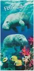 30" x 60" Manatees FLORIDA Velour Beach Towel
