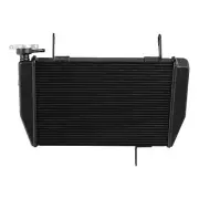 Radiator Cooler Fit For Ducati Hypermotard Hyperstrada 821 2013-15 939 SP 16-21