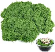 Fake Green Moss for Potted Plants,Moss Decor Artificial Faux Moss for Crafts Preserved Moss for DIY Decorative Moss Table Centerpieces Decor Fairy Garden Floral Wedding (100g)