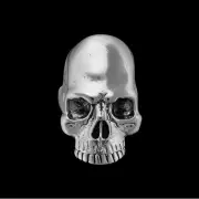 Skull Ring, 925 Sterling Silver Ring, Ring BR208, Size 11 Ring, Gordon and...