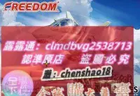 在飛比找露天拍賣優惠-限時下殺★誠信模型★FREEDOM/自由 162061 Q版