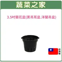 在飛比找momo購物網優惠-【蔬菜之家】3.5吋蘭花盆黑吊耳盆(洋蘭盆 花盆 塑膠花盆 