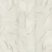 Shaw 360TS Serene - 12" x 24" Rectangle Tile - Polished Marble - Golden Calacata