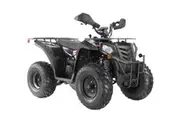 Apollo RFZ Commander 200cc Farm Quad Bike - Black