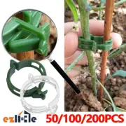 50-200x Tomato Ties Plant Support Clips Trellis Stake Garden Greenhouse Veggie