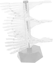 NULYLU Clear Spiral Nail Practice Stand Nail Color Display Holder Lightweight Design for Salons Schools and Home Use for Practicing Techniques