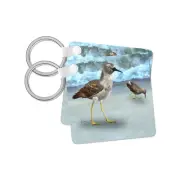 3dRose, Least Sandpiper birds on a beach, Key Chain