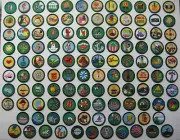 Girl Scout COMPLETE SET 117 BADGE COLLECTION Junior Jade 2001-2011 Patch Display