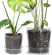 Phoenix Vine 6.5 Inch 8 Inch Clear Acrylic Houseplants Planter Pot with Tray, Orchid Pot with Drainage Holes, Deep Saucer for Bottom Watering, Transparent Containers for Indoor Plants, Herbs, 91-B-Z