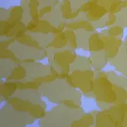 Cloud Vinyl Shape 1.5" Yellow Go Go Transparent