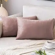 AUSSPVOCT Soft Velvet Throw Pillow Covers Set of 2,Ative Lumbar 12x20 Pillow Cover Cushion Covers Square Couch Pillow Cases for Sofa Bed Car Living Room Farmhouse,Dusty Pink