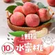 免運!【真美味】1箱10顆 台灣鮮採水蜜桃10入裝_禮盒 10入裝/1公斤/箱