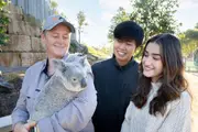 Ultimate Blue Mountains Tour Child - Sydney