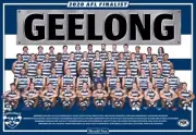 Geelong cats team poster, AFL football,premiers dogs,crows ,swans,books,blues 1