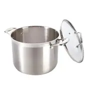 Baccarat iconiX Stockpot with Lid 7.2L/ 7.2L/24cm