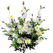 Admired By Nature Artificial Full Blooming Daisy Flowers, Flower Buds & Greenery for Home, Wedding & Office Decoration Arrangement, 6 Stems (2 Pieces) Cream