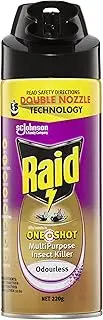 Raid One Shot Multipurpose Insect Killer, Insect Spray for Flying and Crawling Insects, Odourless, 220g, 1 Count
