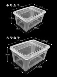 在飛比找露天拍賣優惠-免運?熱賣現貨◆速出 蝸牛盒子寵物飼養箱白玉蝸牛小中大號專用