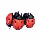 ❤️ Iris Apfel Large Ladybug Bracelet Designer Jewelry Rara Avis