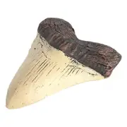 Megalodon Tooth Fossil Giant Tooth Megalodon Tooth Resin Replica As Shown