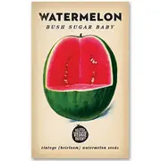 The Little Veggie Patch Co Watermelon Heirloom Seeds